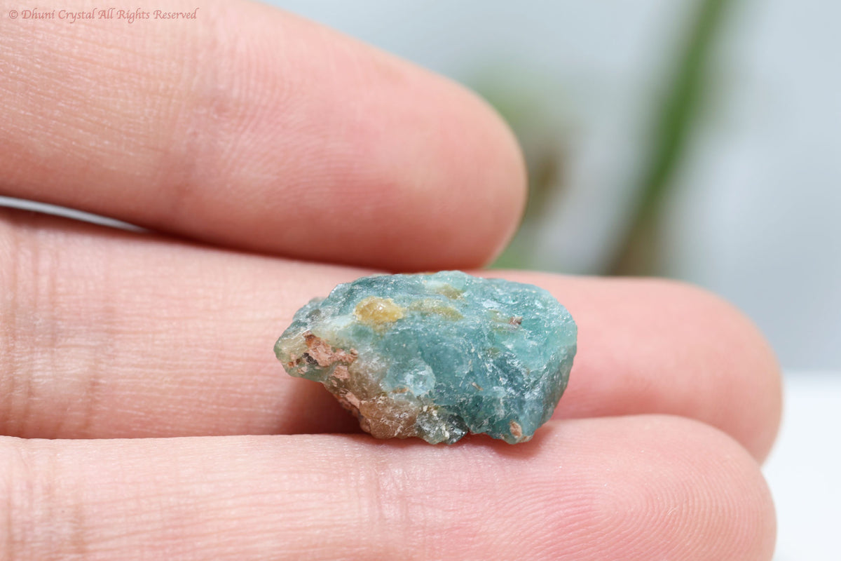 グランディディエライト