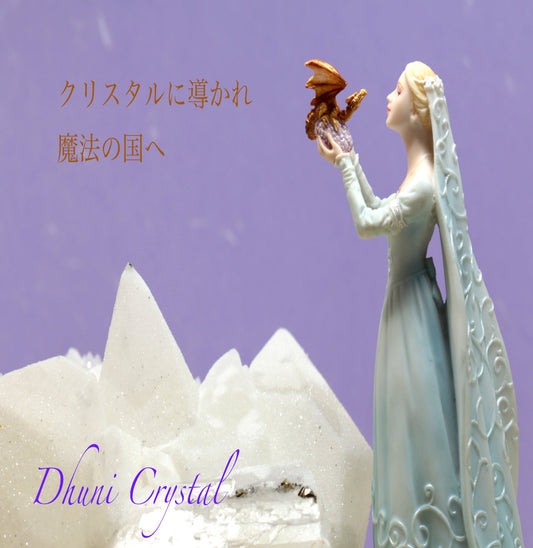 ご予約商品(1)