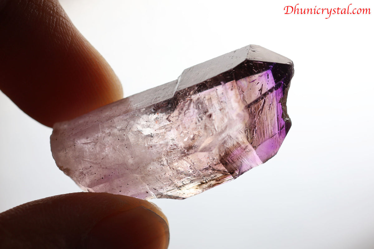 シャンガン・エレスチャル