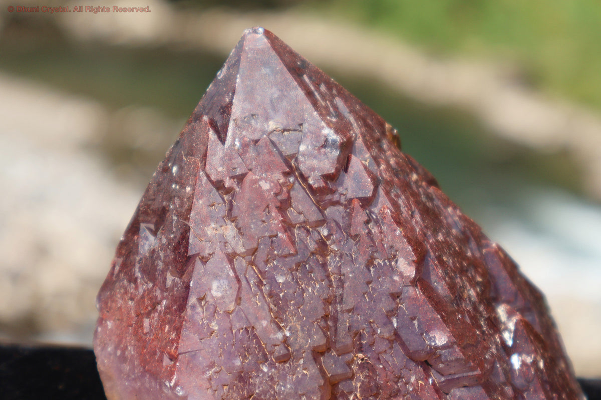 オーラスターライト23(DD04)