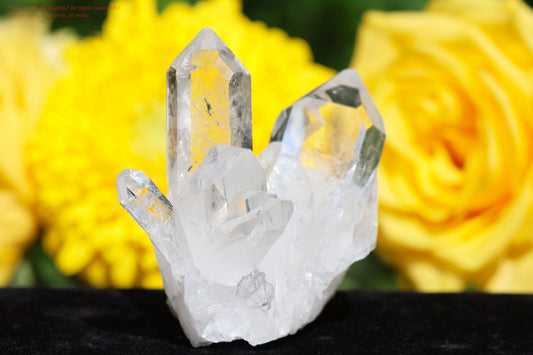 トマスゴンサガ水晶・クラスター(DD34)