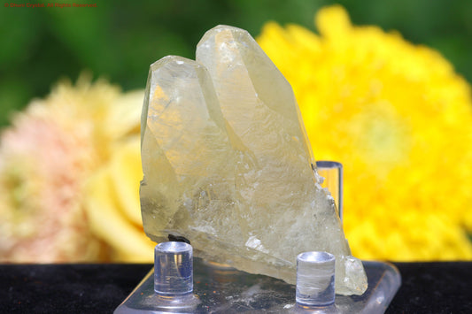 ステラビームカルサイト/ミズーリ産(DD70)