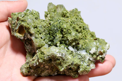 フェアリーフォレスト・クォーツ