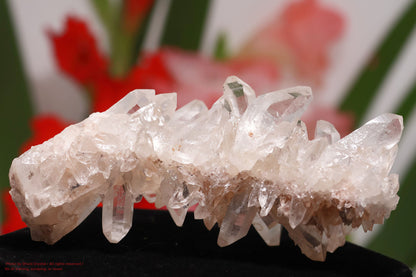 ヒマラヤ水晶