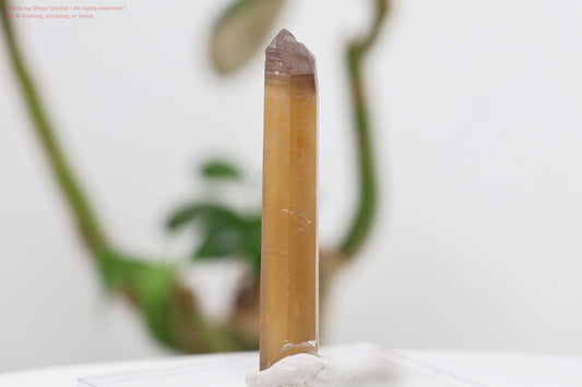 天然シトリン