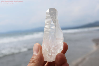 レムリアンシード