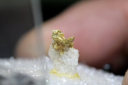 金の天然結晶