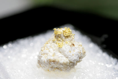金の天然結晶