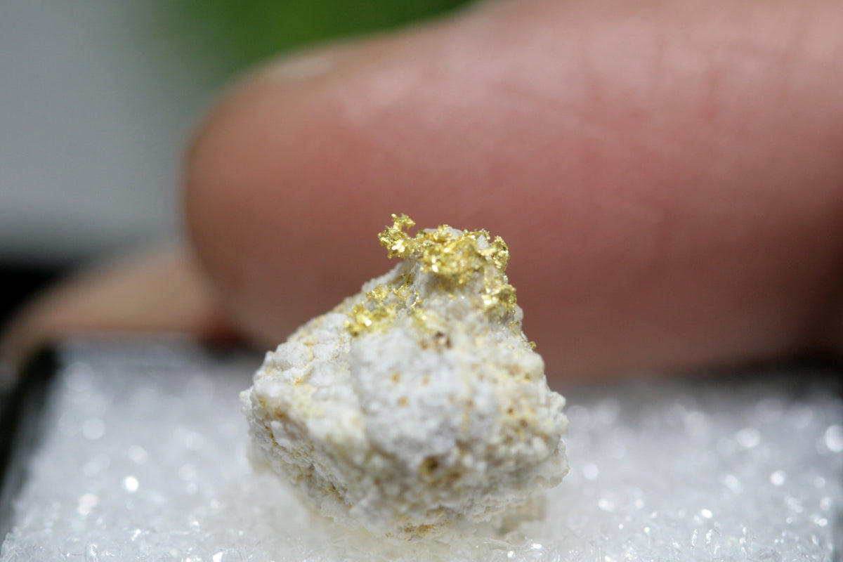 金の天然結晶