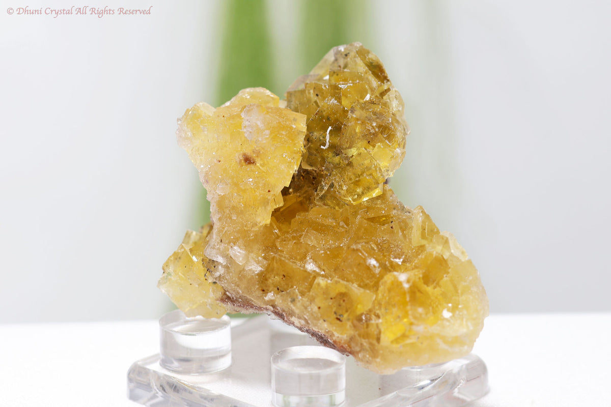 イエロー・フローライト原石