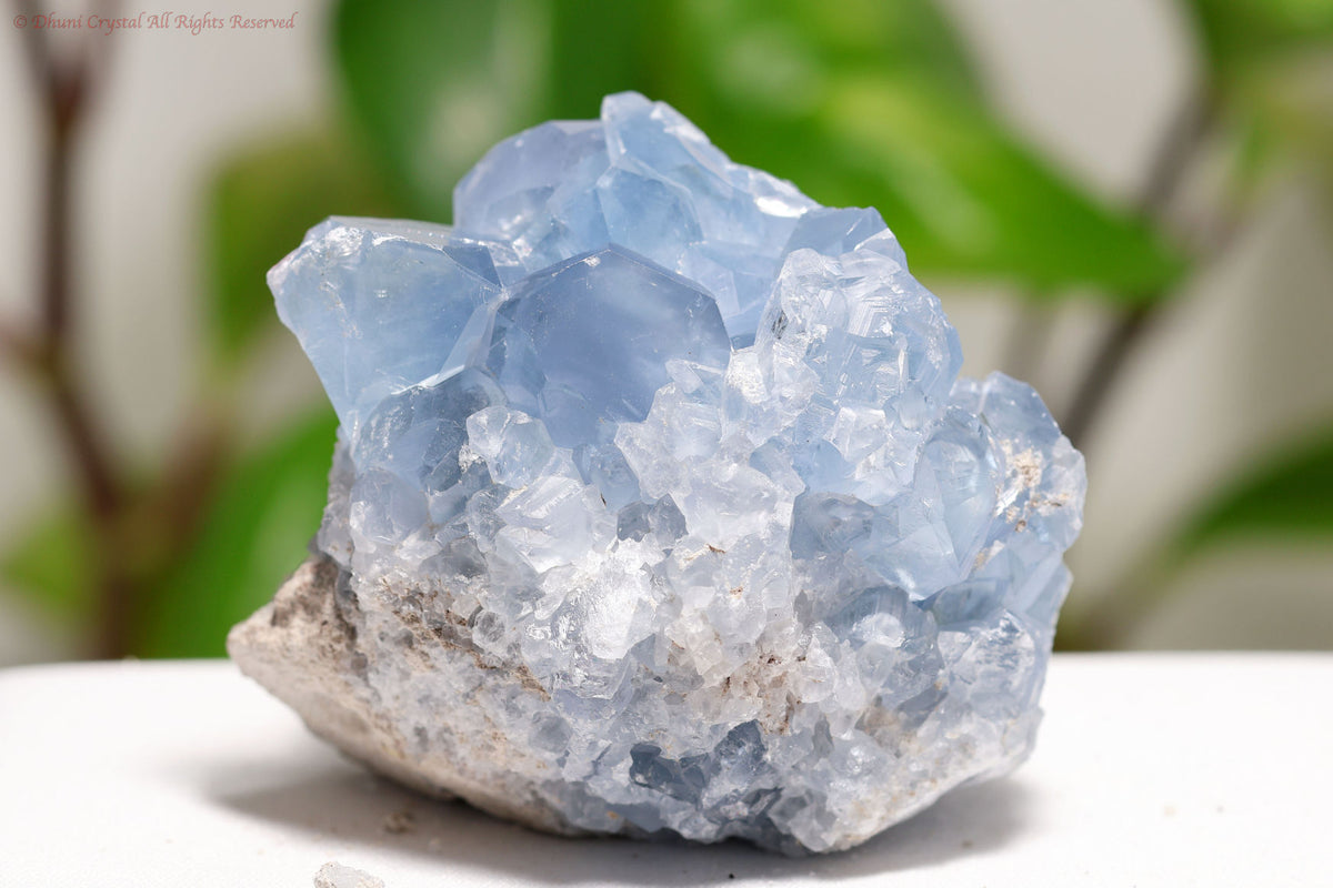 セレスタイト原石