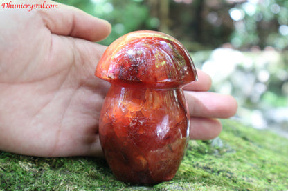 カーネリアンのきのこ