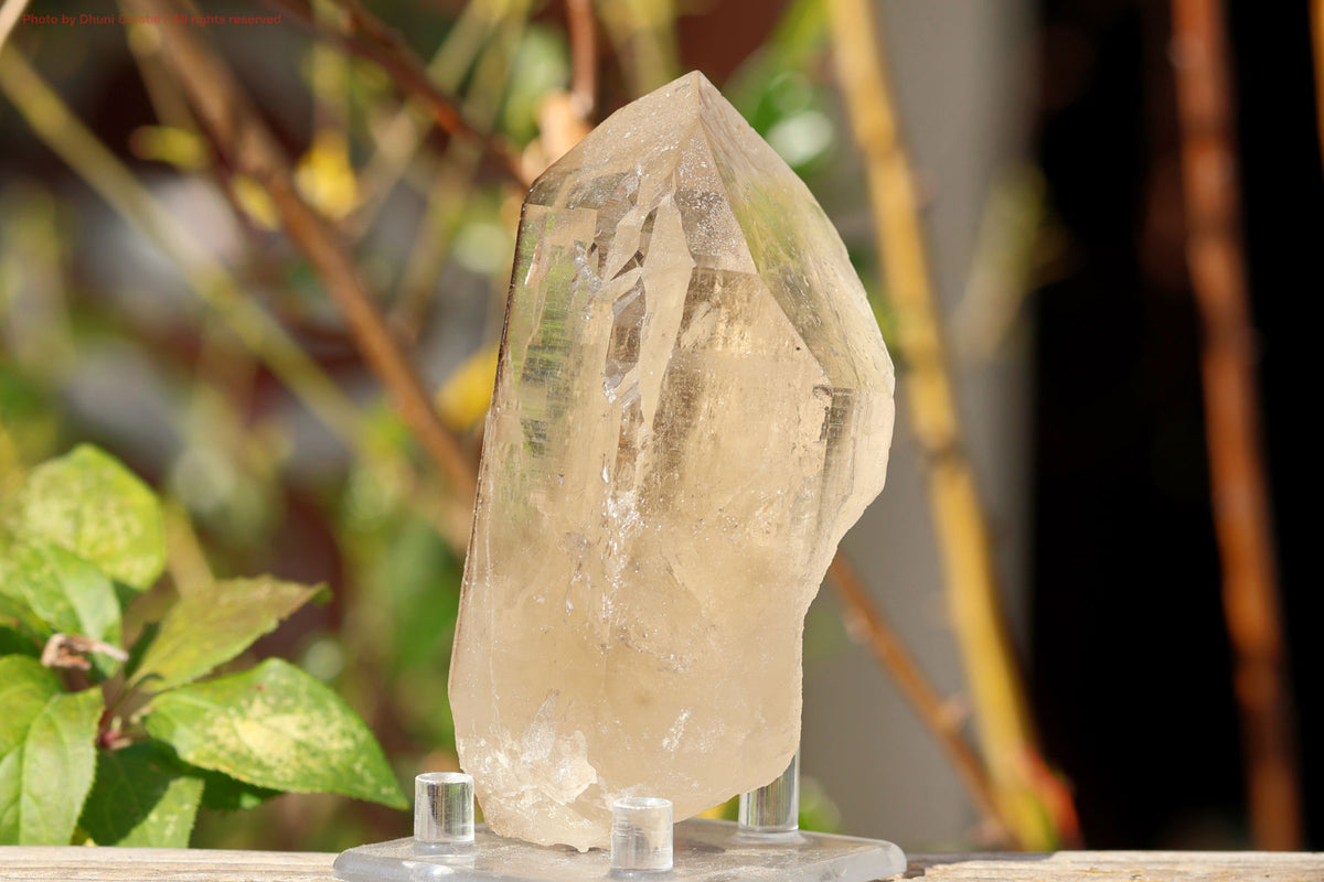 天然シトリン原石