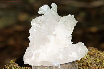 Mother Of All Crystal