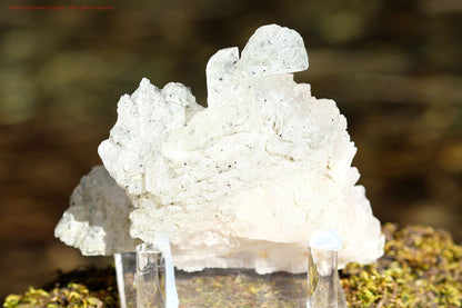 Mother Of All Crystal