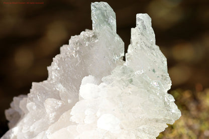 Mother Of All Crystal