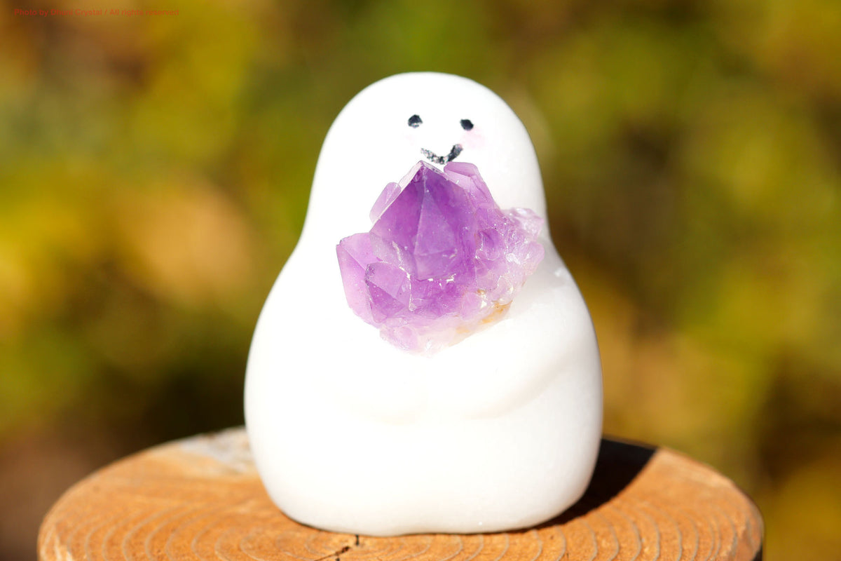 しらたまちゃん