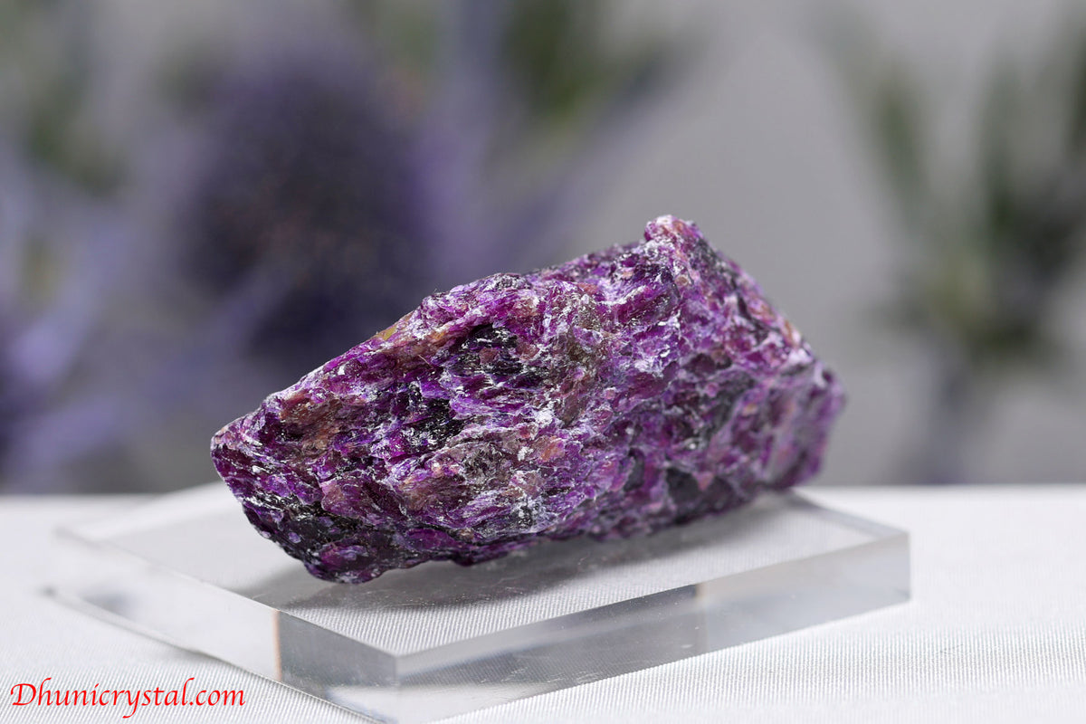 アイオワイト