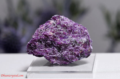 アイオワイト