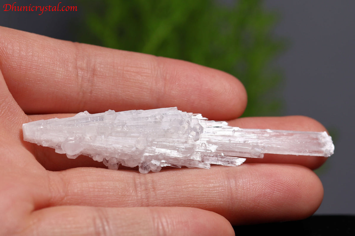 スコレサイト原石