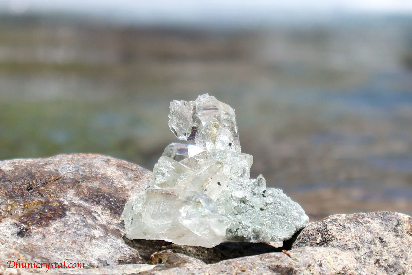 マニハール産ヒマラヤ水晶の正面からのクリアな結晶写真