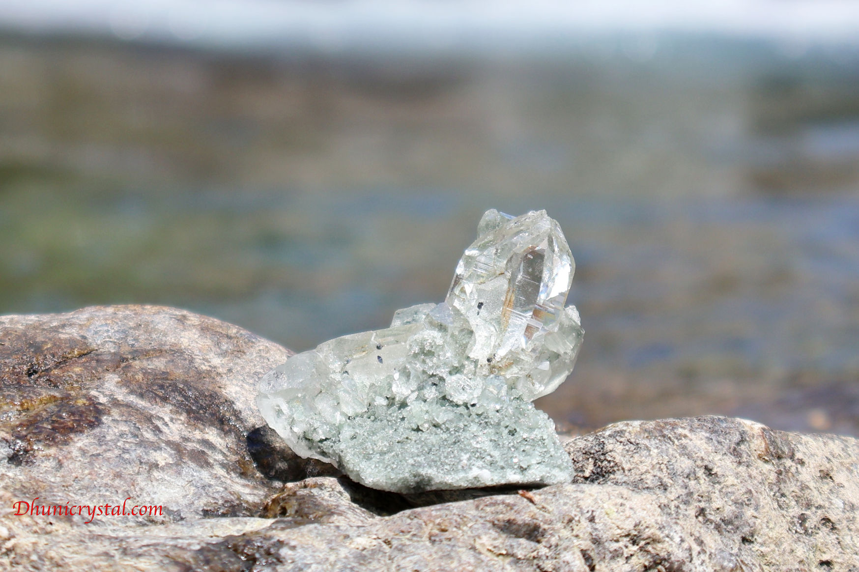 マニハール産ヒマラヤ水晶の斜めから見た結晶の透明感