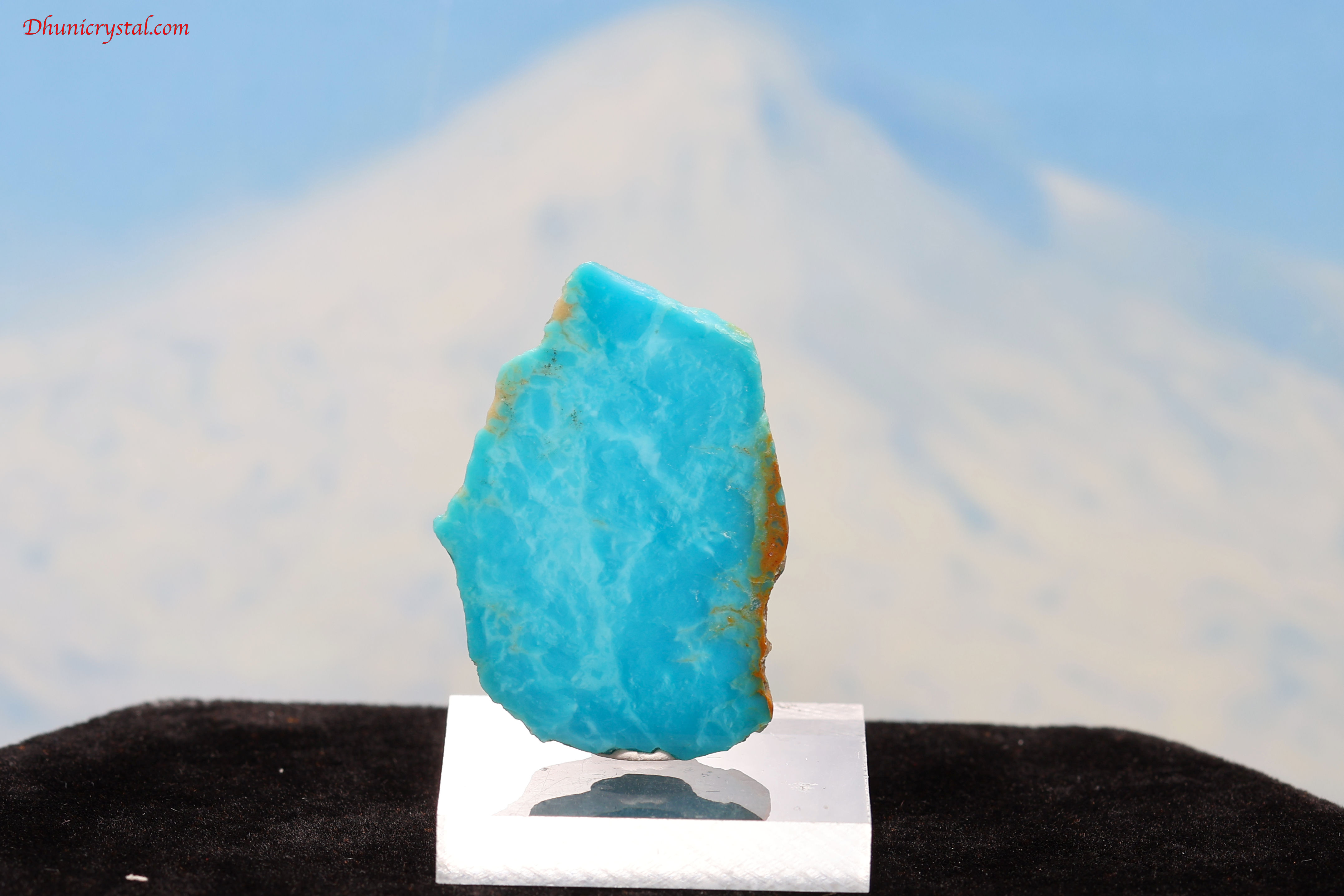 ターコイズスフィアNo.2447 ターコイズスフィアNo.2447 PSA 10 Acerola's Mischief SR 084/063