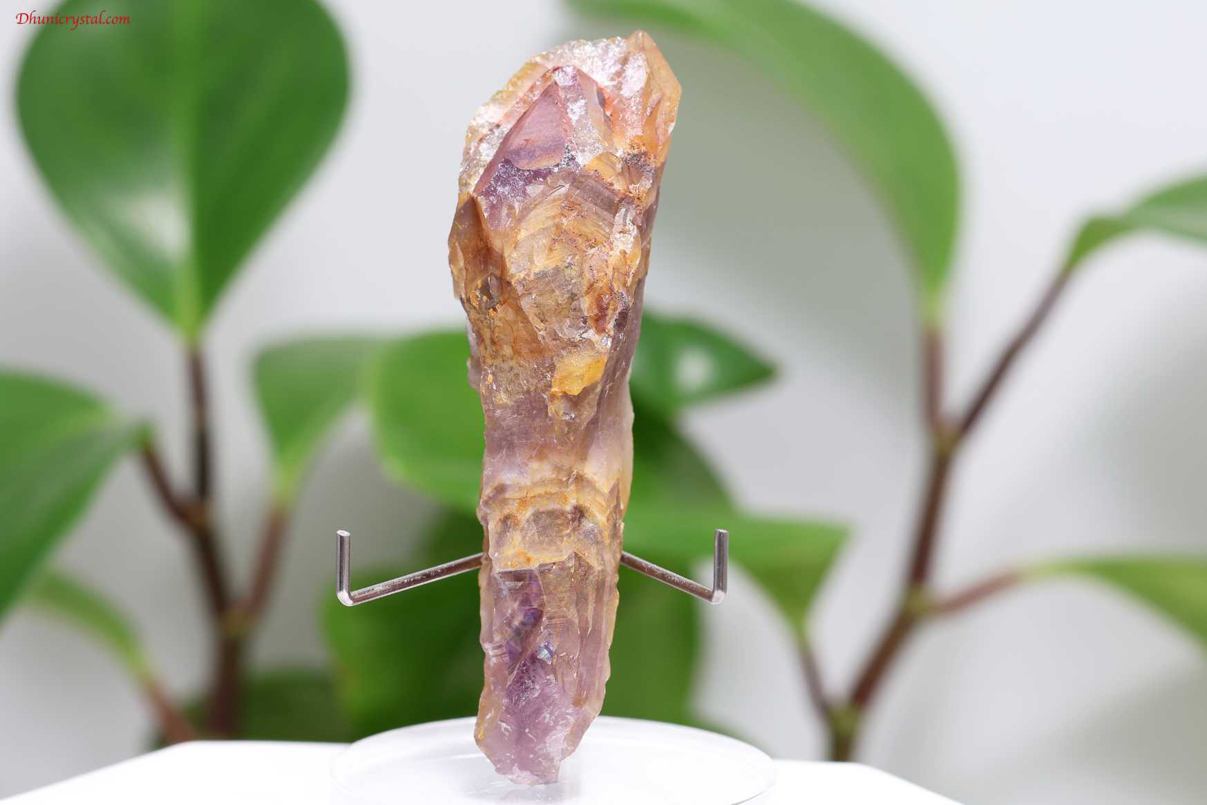 オーラスターライト23 側面からの写真