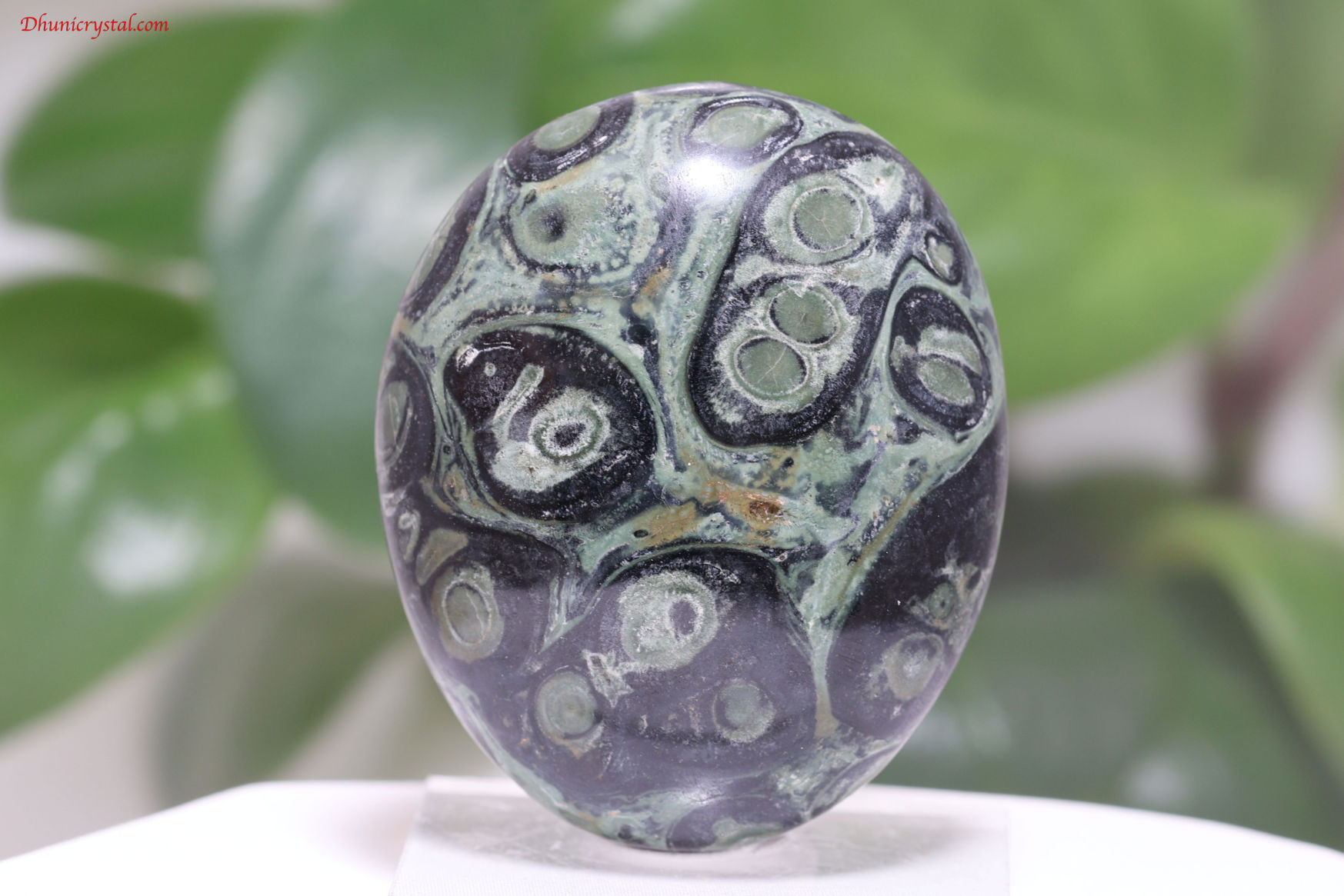 KAMBABA/カンババジャスパー(A754)