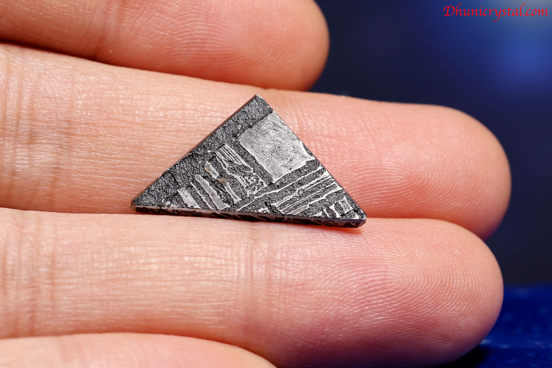 アルタイ隕石 905g アルタイ隕石(A835)