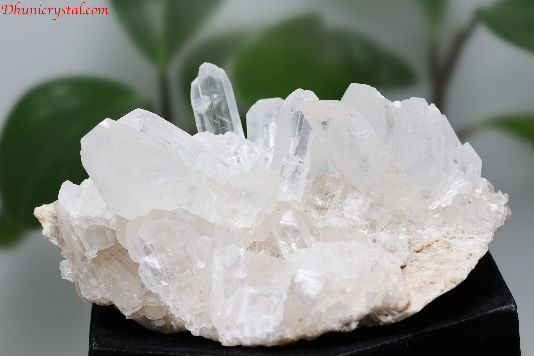 石原‼️ セレナイト原石/クラスター(A846)