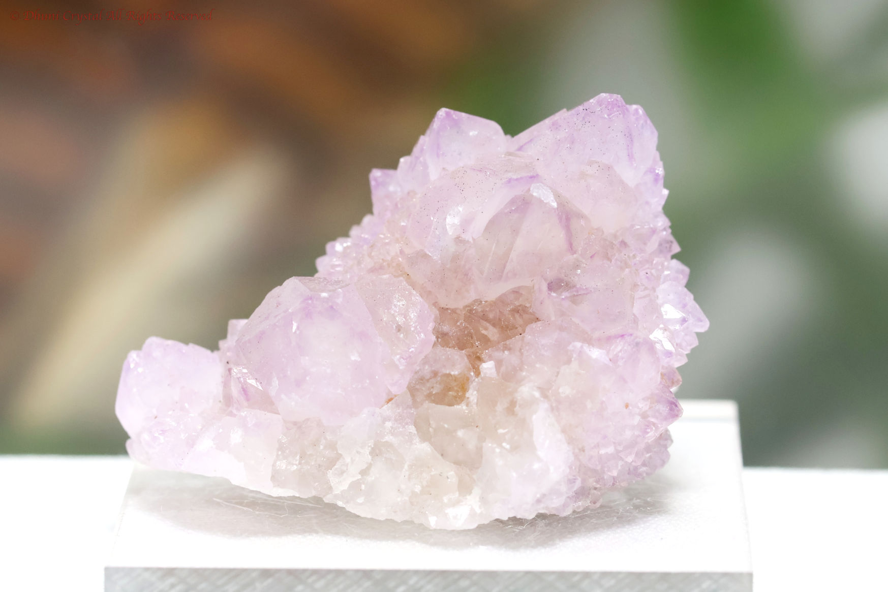 カクタスクォーツ　サボテン水晶　スピリットクォーツ　フラワークォーツ　原石　鉱物 115mm カクタスクォーツ（サボテン水晶）原石 クラスター 大