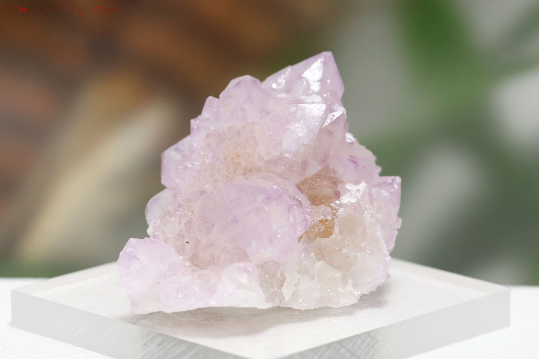 アメジスト・スピリットクォーツ／カクタスクォーツA876)