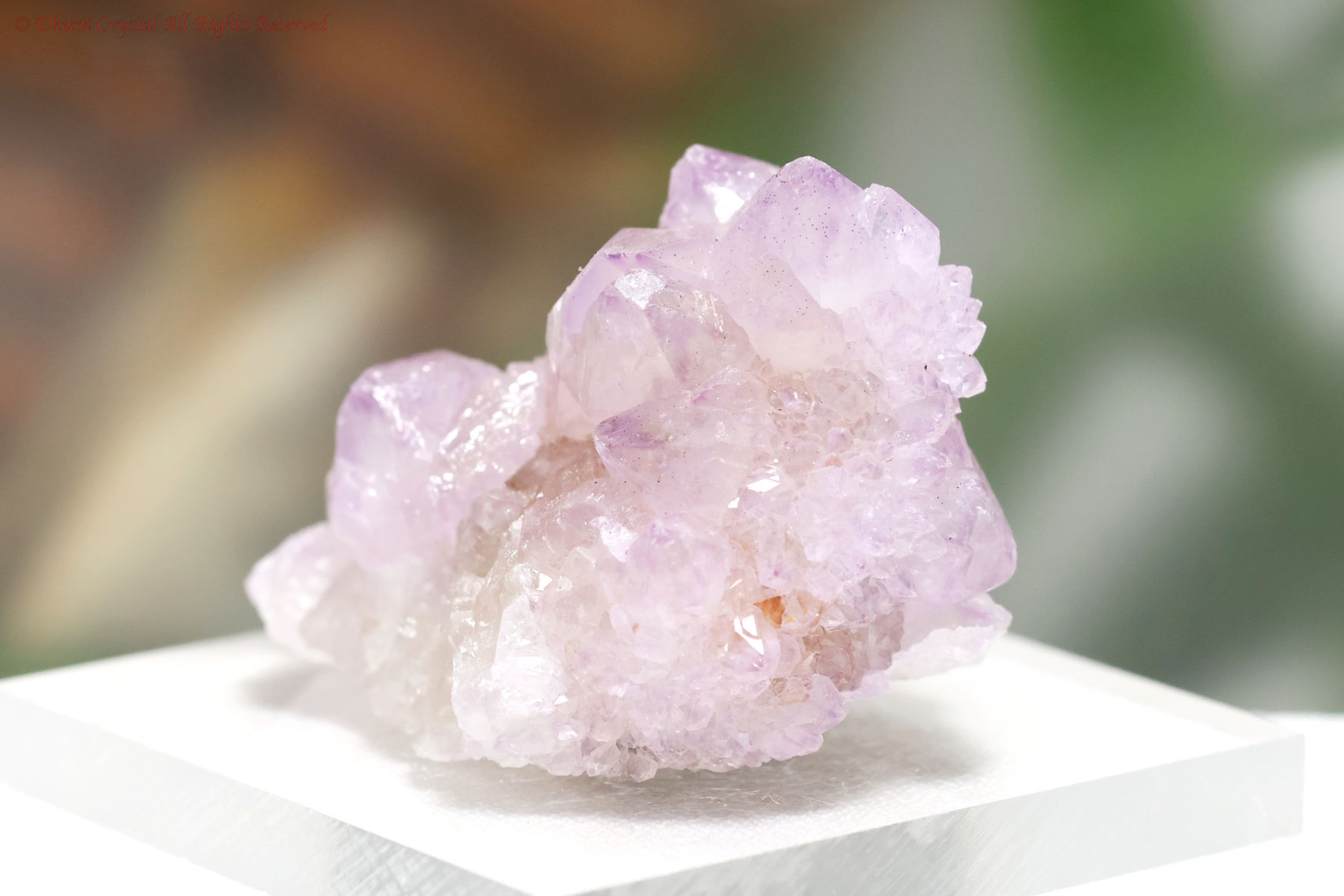 アメジスト・スピリットクォーツ／カクタスクォーツA876)