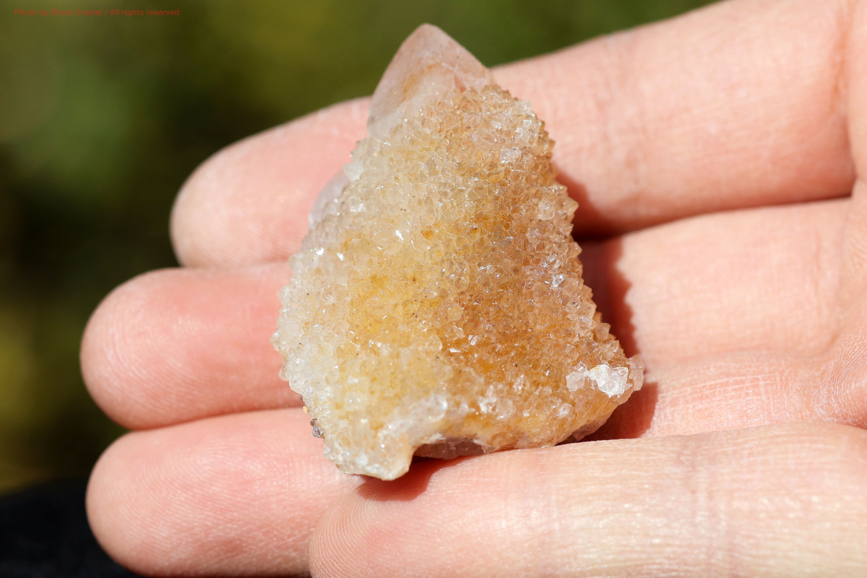 ホワイトスピリットクォーツの手の上の画像