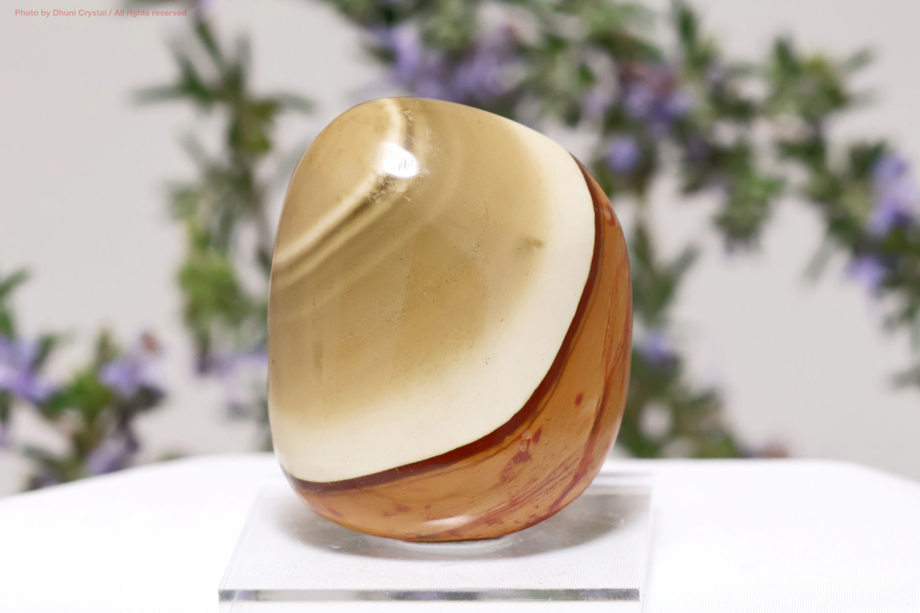 ポリクロームジャスパーの画像” loading=