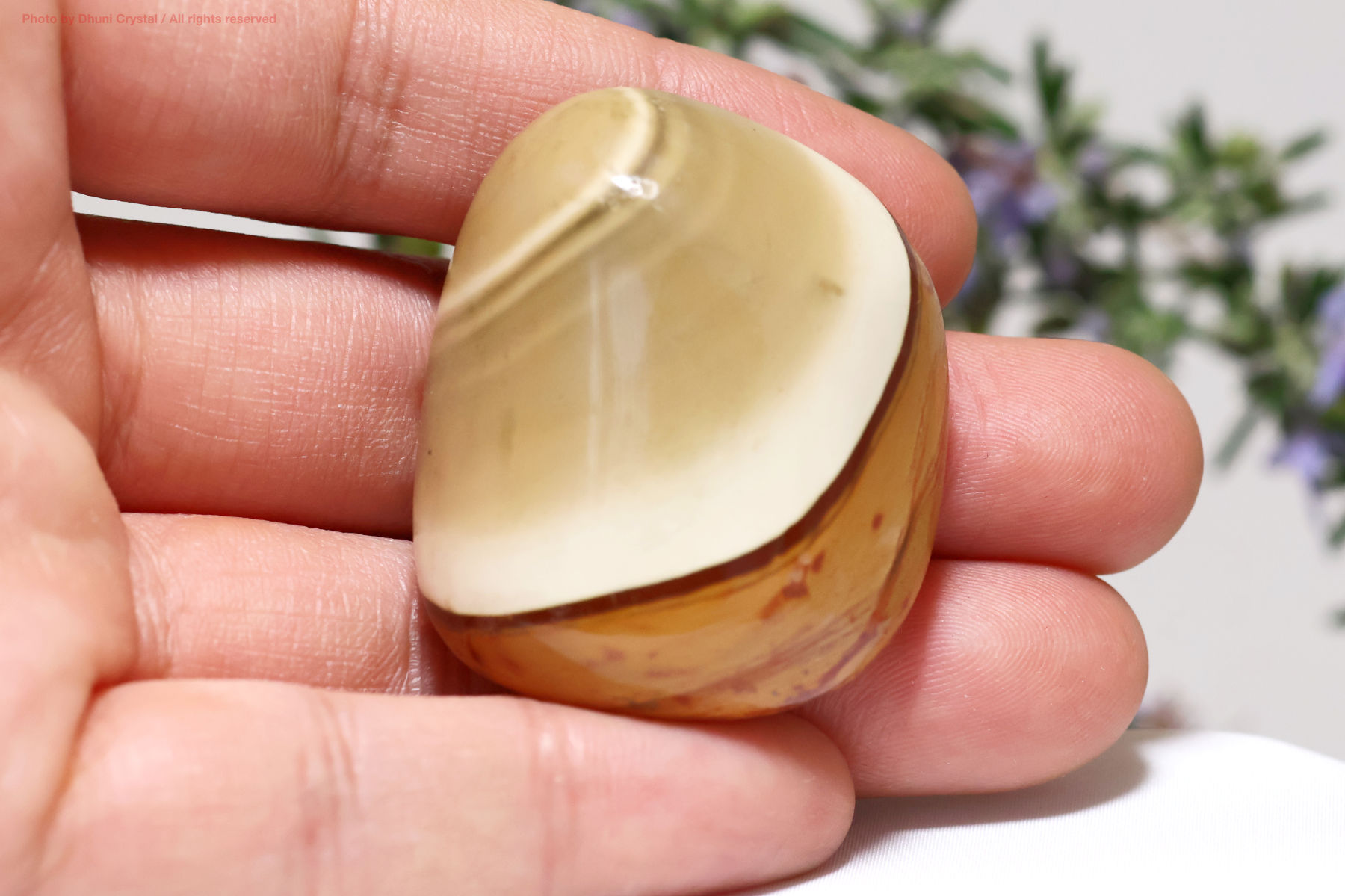 ポリクロームジャスパー手の上の画像