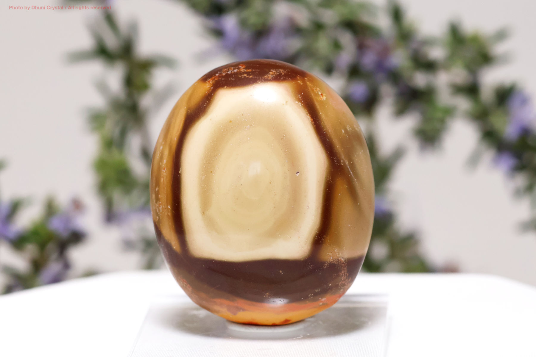 ポリクロームジャスパー 天然石 大地の彩りを宿すヒーリングストーン