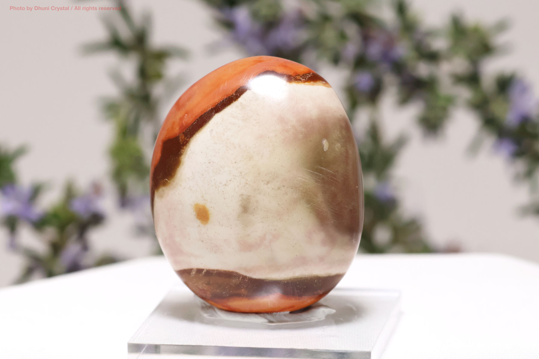 ポリクロームジャスパーの画像” loading=