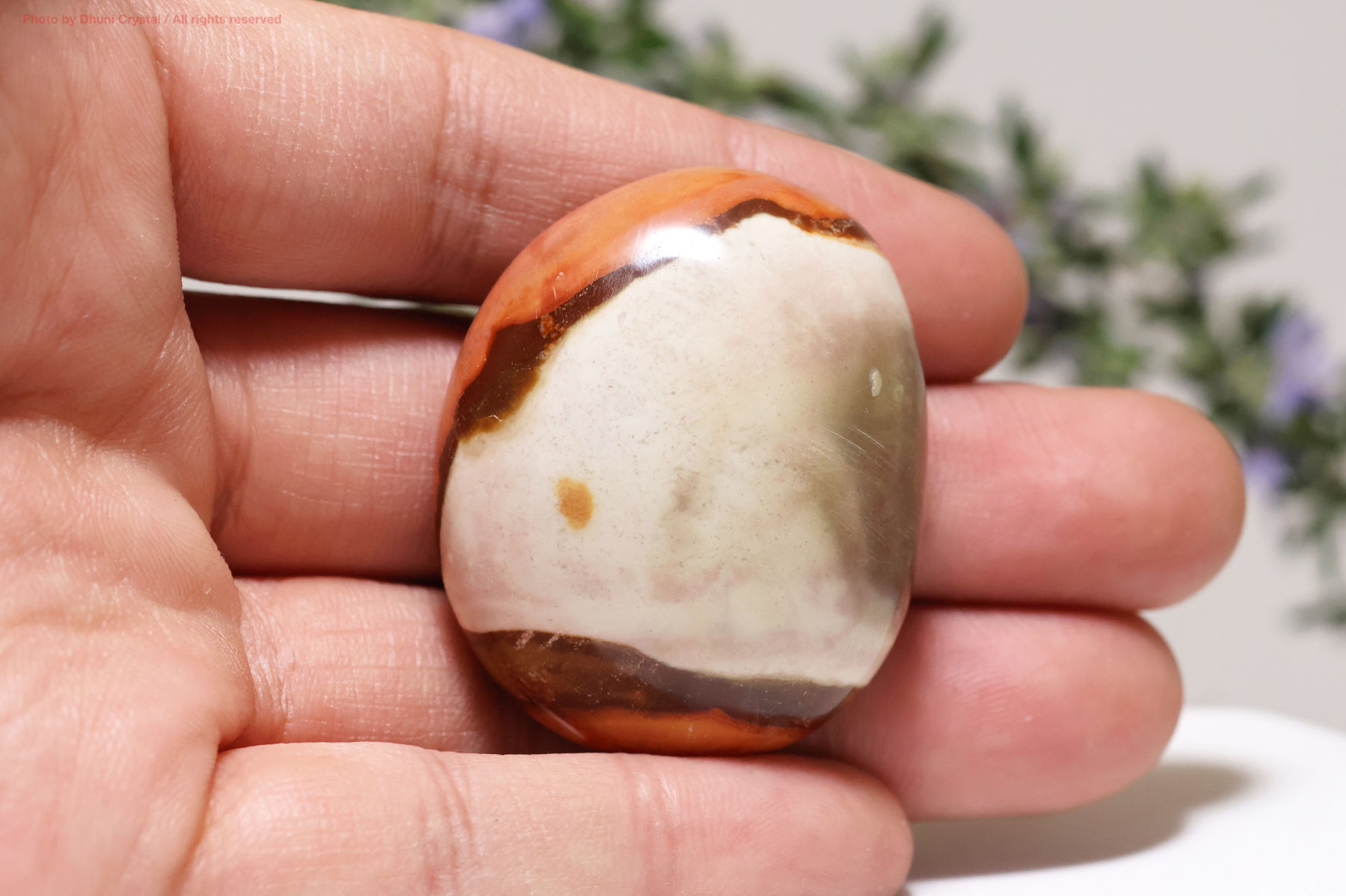 ポリクロームジャスパー手の上の画像