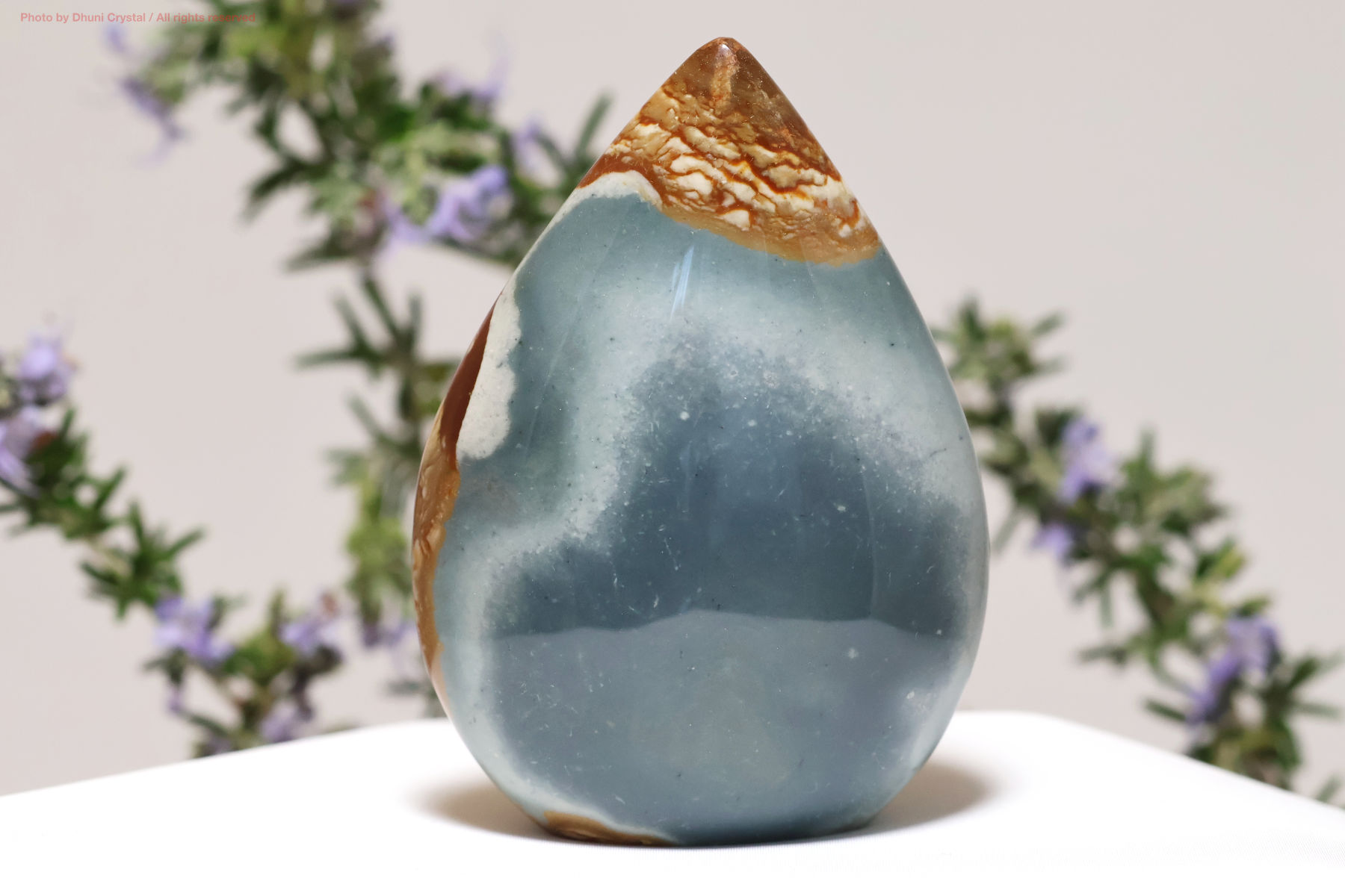 ポリクロームジャスパーの画像