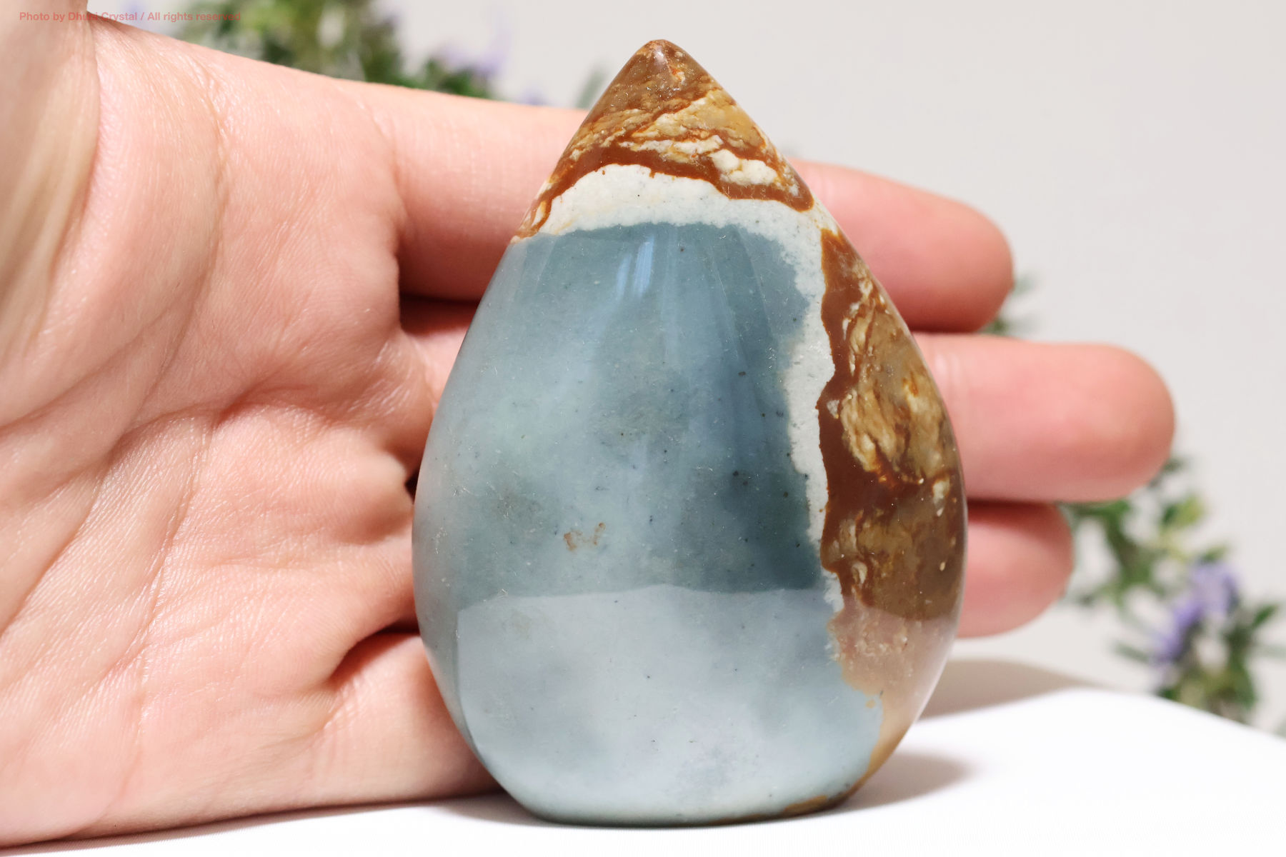 ポリクロームジャスパー手の上の画像