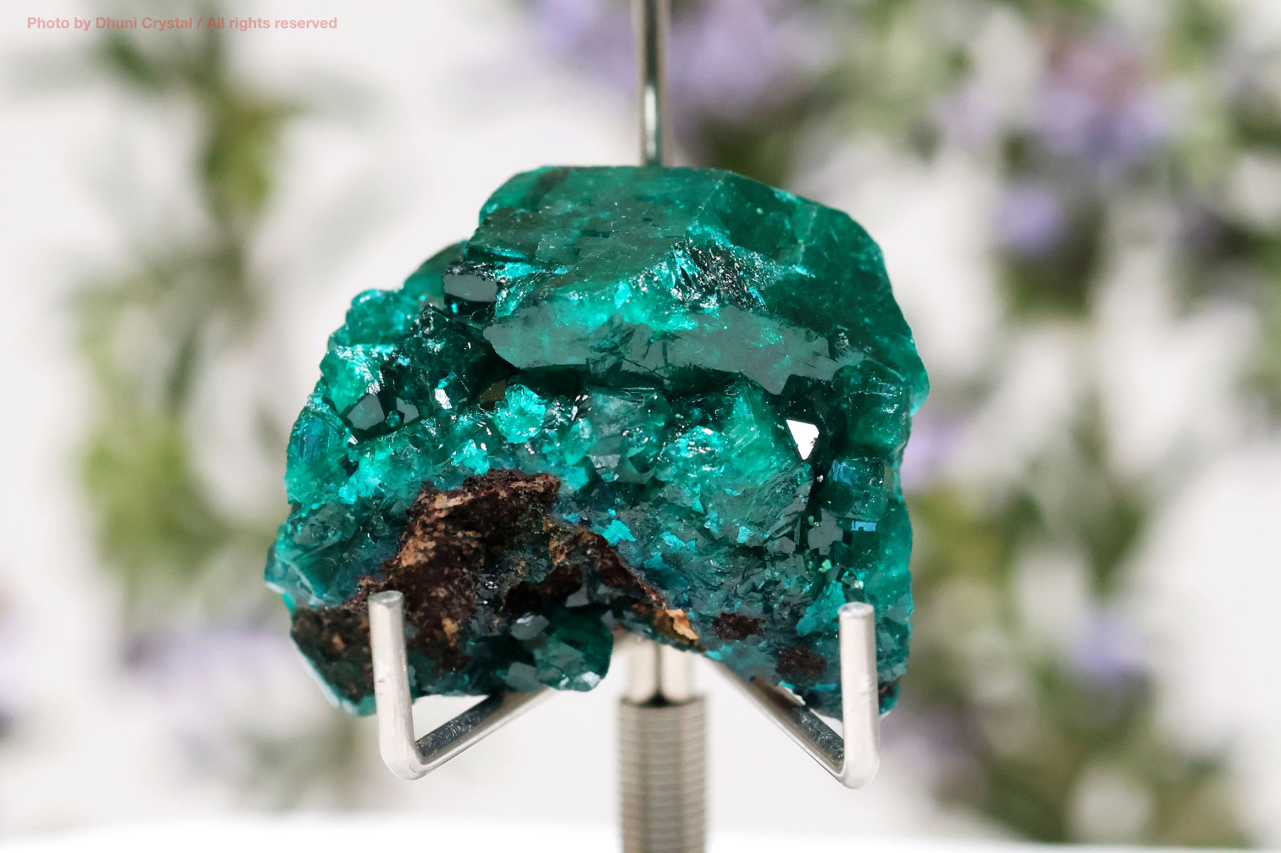 ダイオプテーズ 心を解き放つ深緑のヒーリングストーン