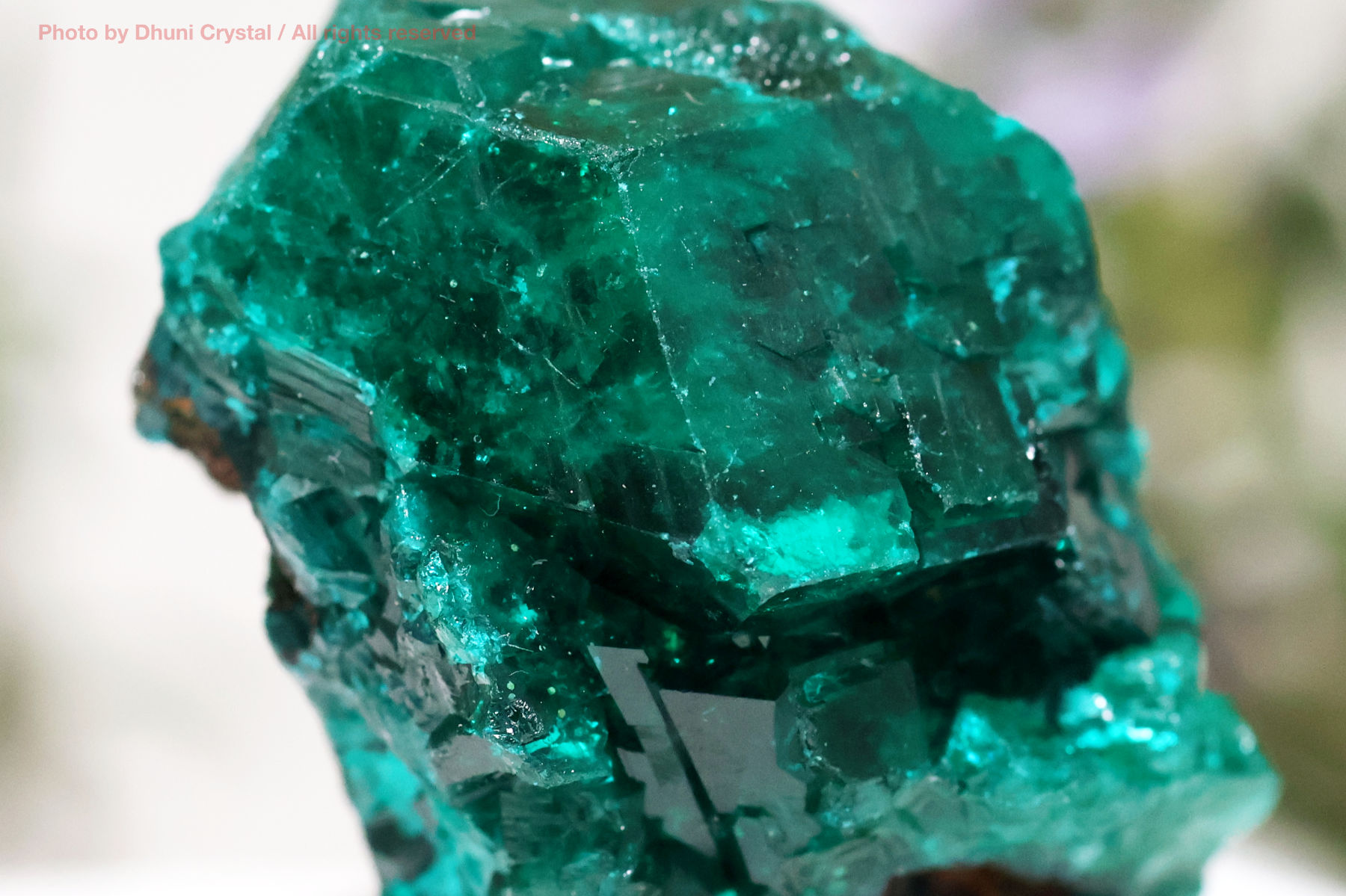 ダイオプテーズ 心を解き放つ深緑のヒーリングストーン