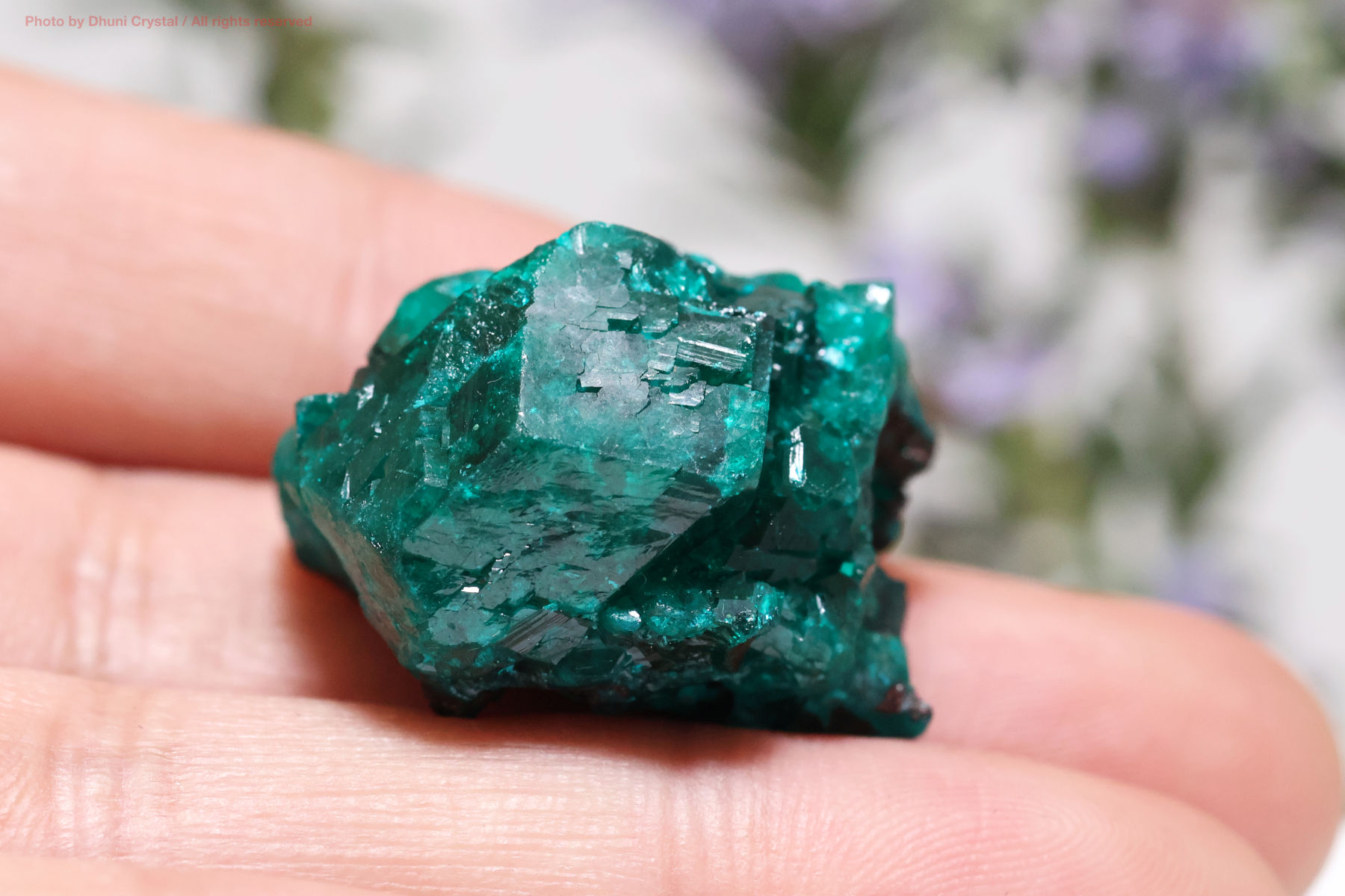 ダイオプテーズ 心を解き放つ深緑のヒーリングストーン