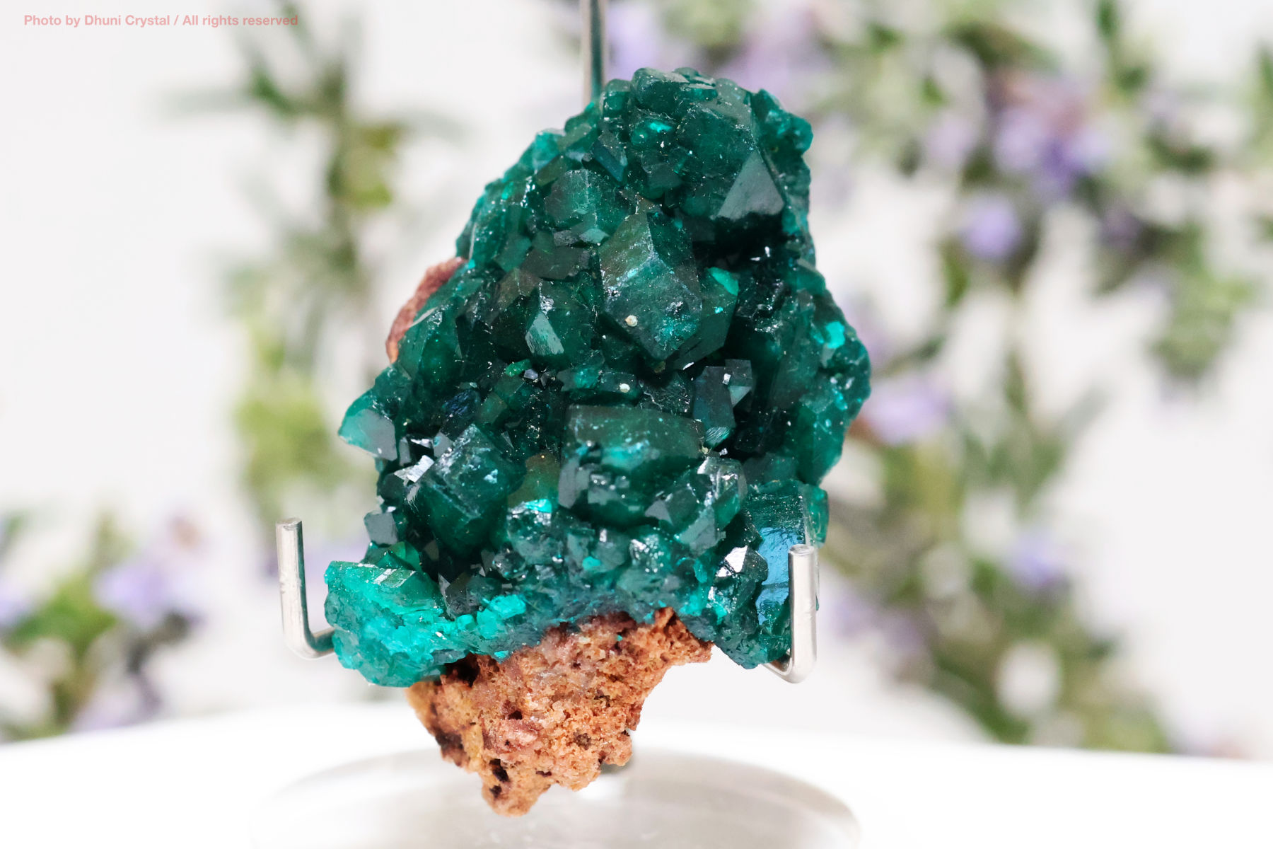 ダイオプテーズ結晶の画像” loading=