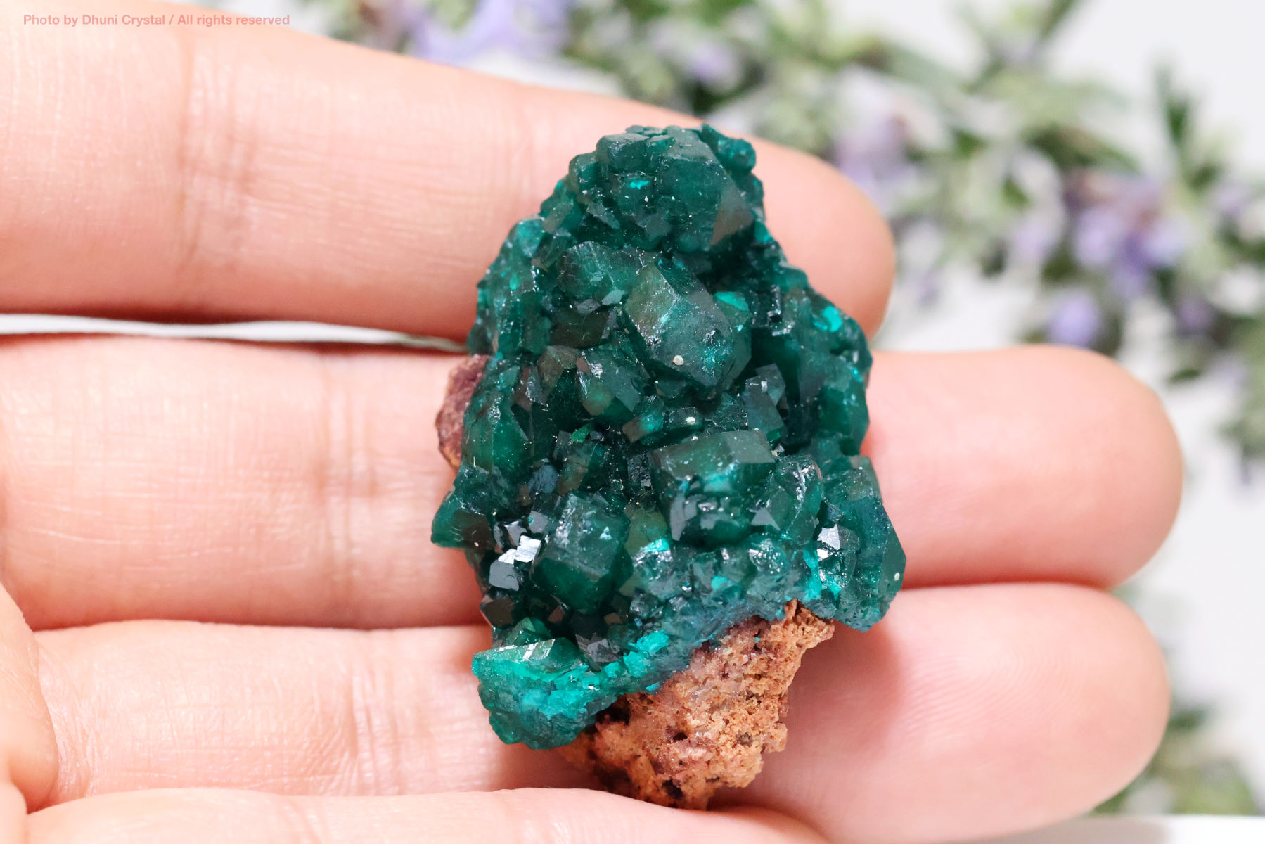 ダイオプテーズ結晶の画像