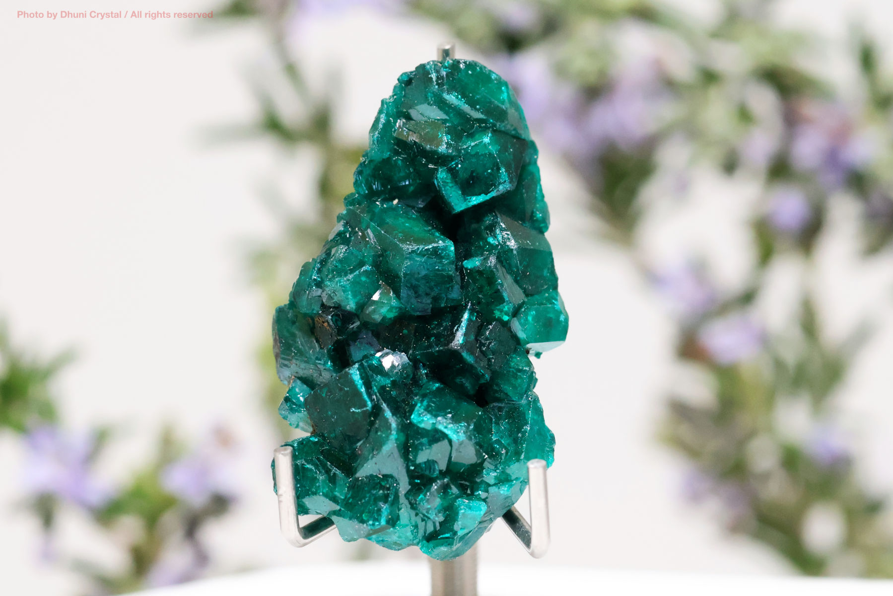 ダイオプテーズ結晶の画像” loading=