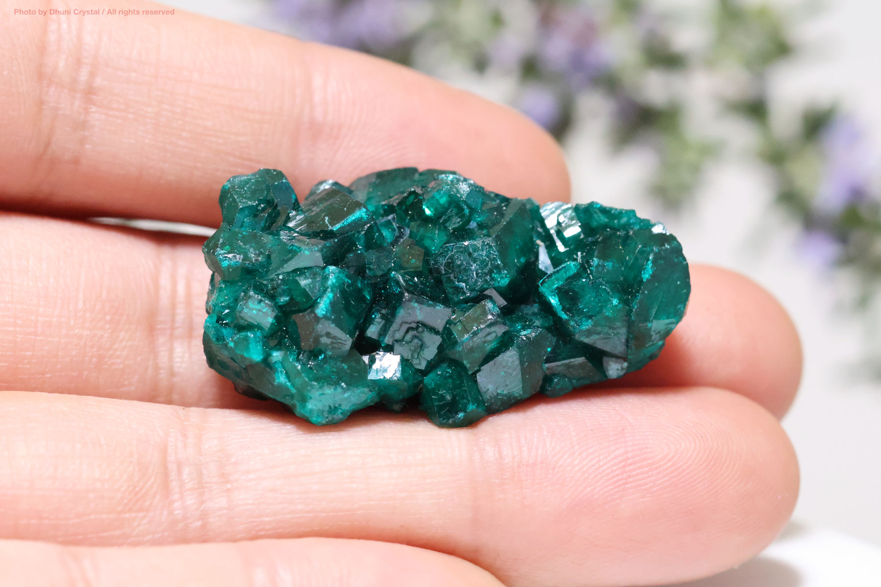 ダイオプテーズ 心を解き放つ深緑のヒーリングストーン