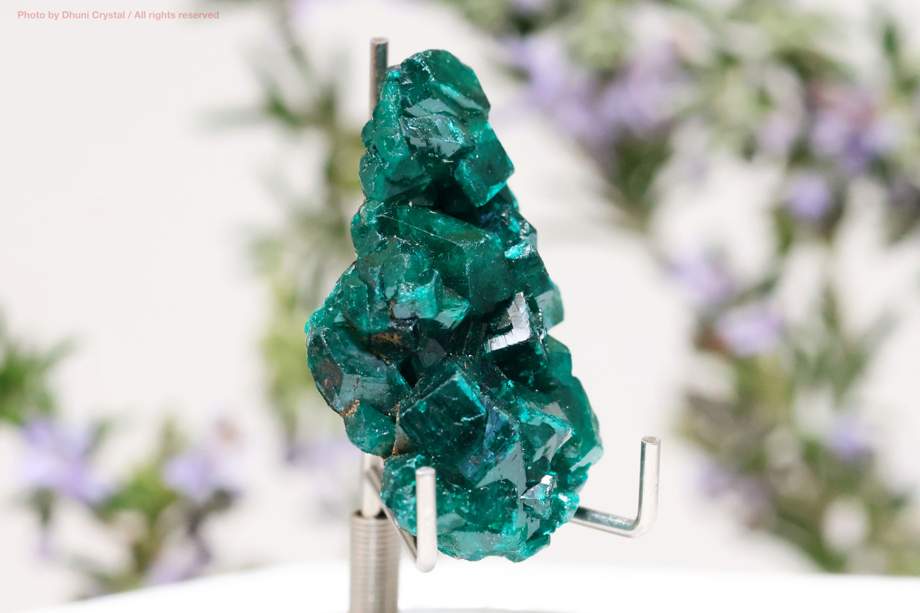 ダイオプテーズ結晶の画像